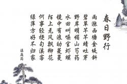 英雄联盟总决赛时间-绝境孤星，劳塔罗从瑞士带走马里之战