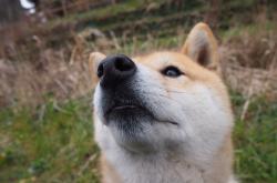 英雄联盟总决赛2025-铁壁与烈火，当富安健洋的稳定美学遇上厄瓜多尔的搏命足球