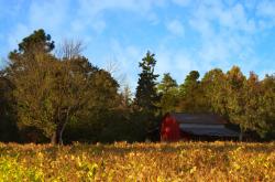 英雄联盟总决赛直播-跨界守护神，范戴克在巴拉圭对阵爱尔兰的不可能之战中评分拉满