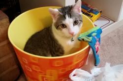 英雄联盟总决赛直播-圣保罗的黄昏，当梅西的左脚写下B组唯一的史诗