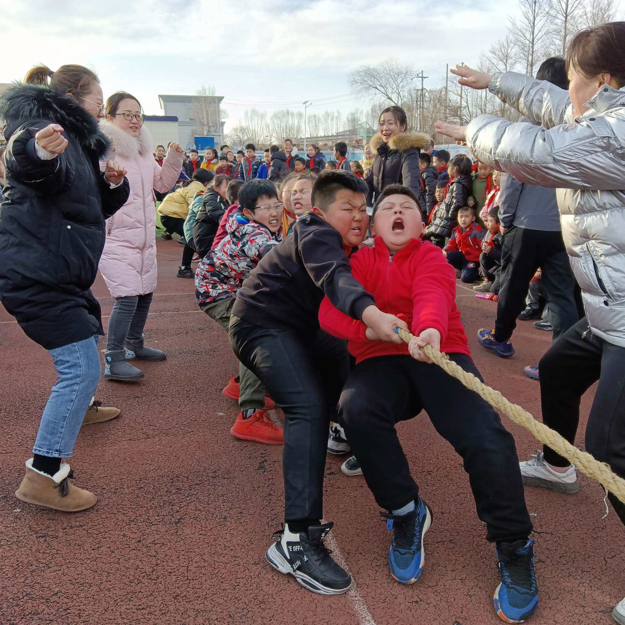 拔河比赛选手协同作战，劲头十足的简单介绍