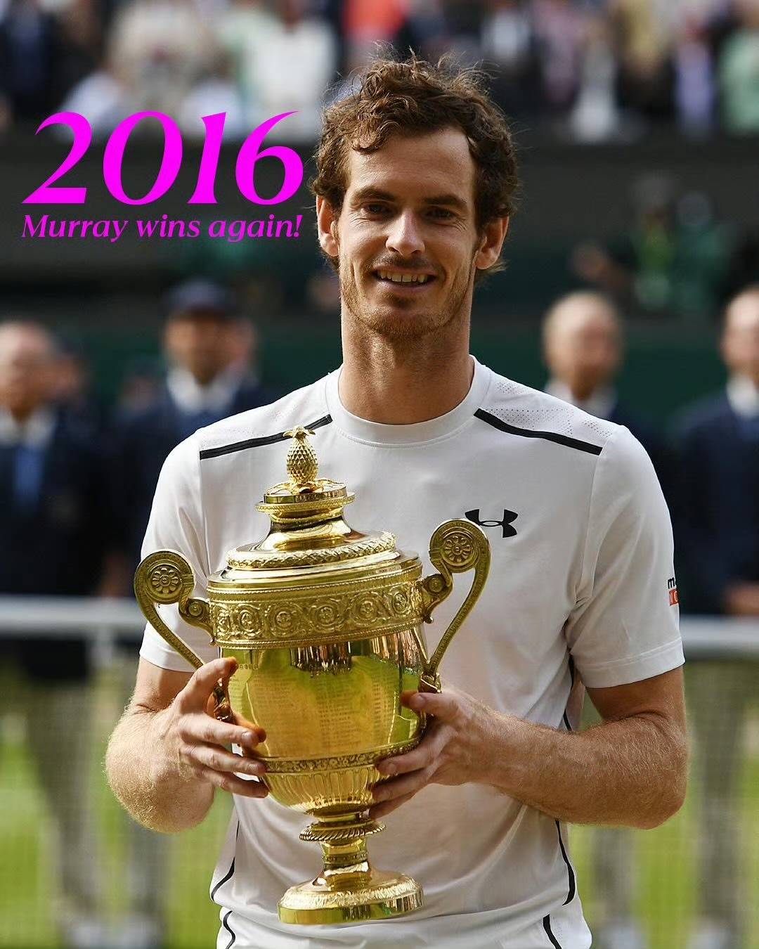 温网力克年终总决赛,穆雷刷新纪录 温网力克年终总决赛,穆雷刷新纪录