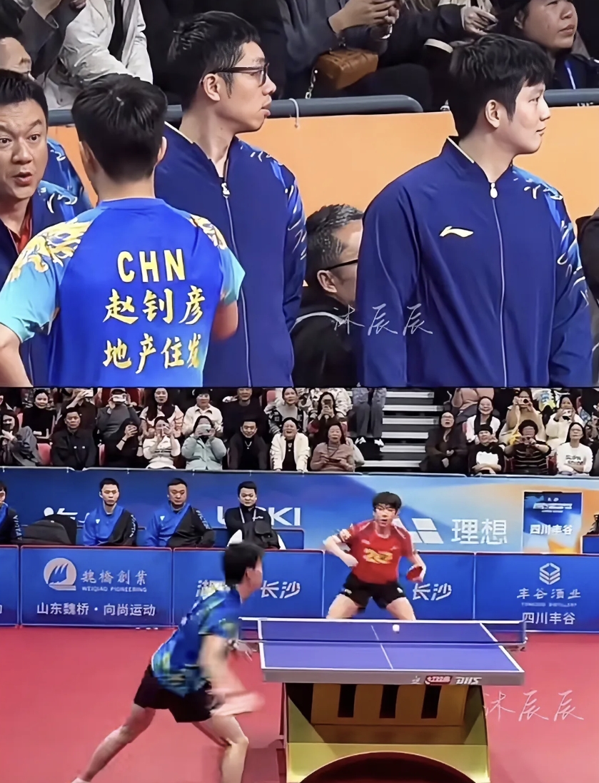 中国队碾压德国队，许昕高光表现