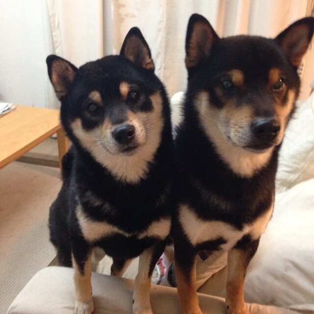 橙色奇迹，荷兰队压哨绝杀拜仁的跨界战争