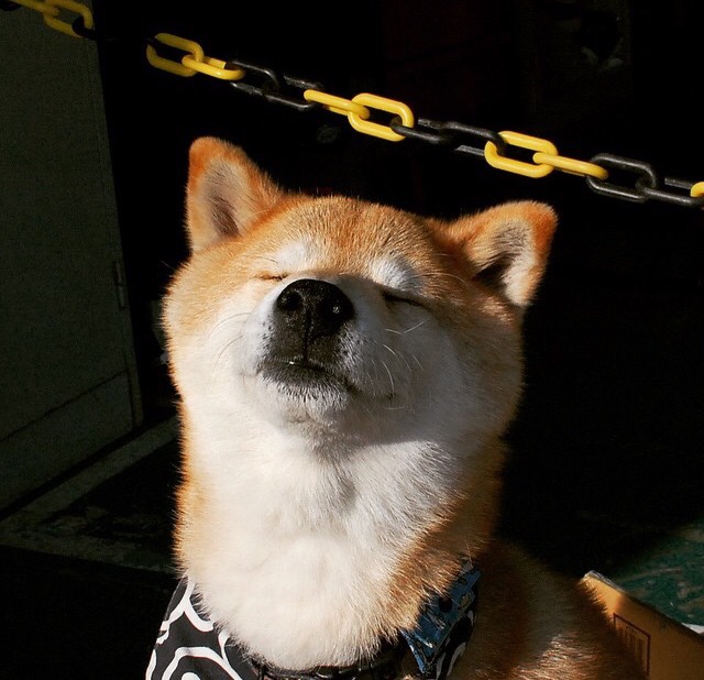 钢铁防线与孤独尖刀，贝恩扛起北京队的火力压制奇迹