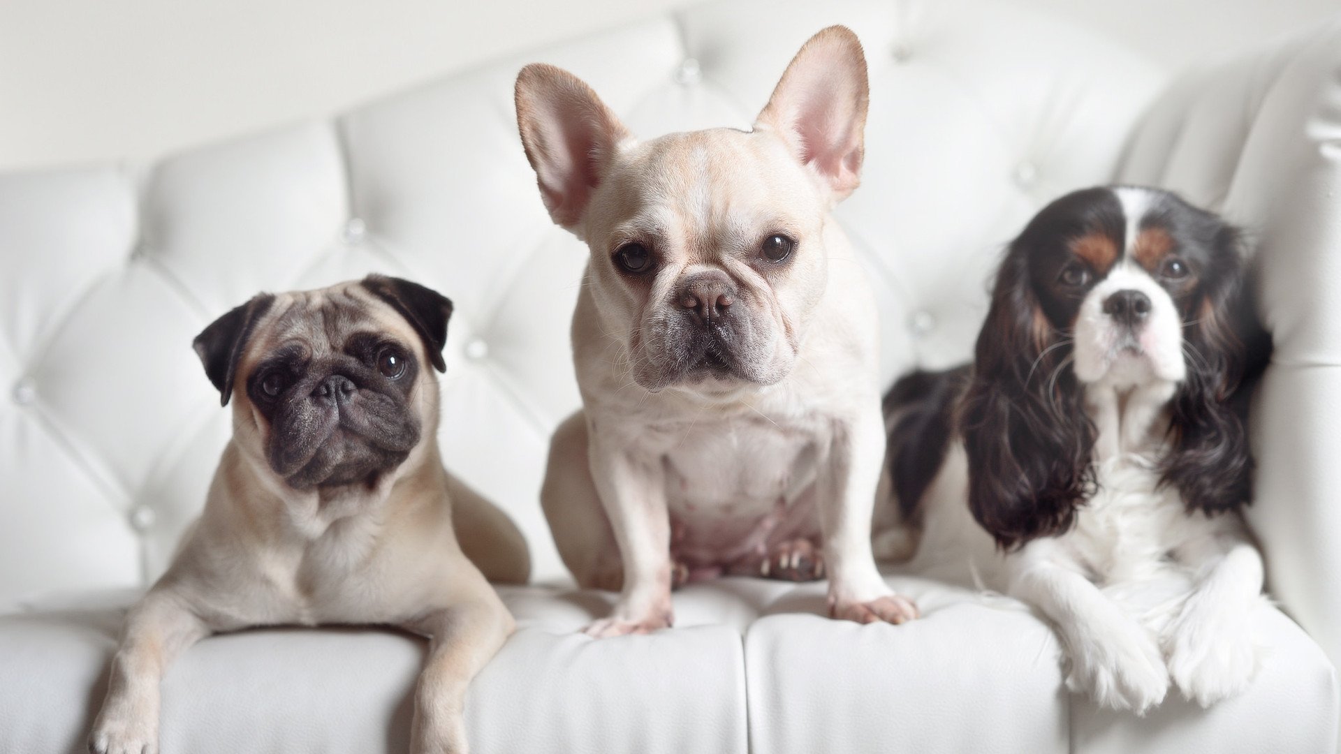 绝境重启！老鹰逆境翻盘改写历史，利拉德诠释何为关键先生