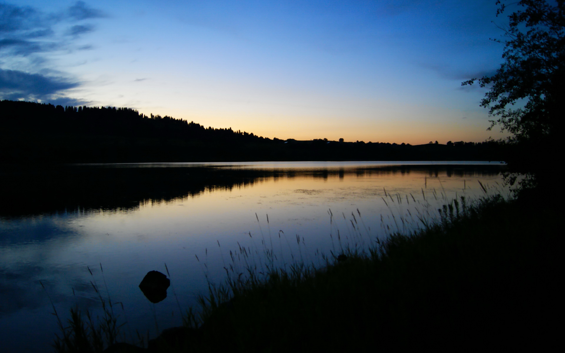 舞台越大越强!阿劳霍光芒闪耀,摩纳哥战术棋局压制贝蒂斯