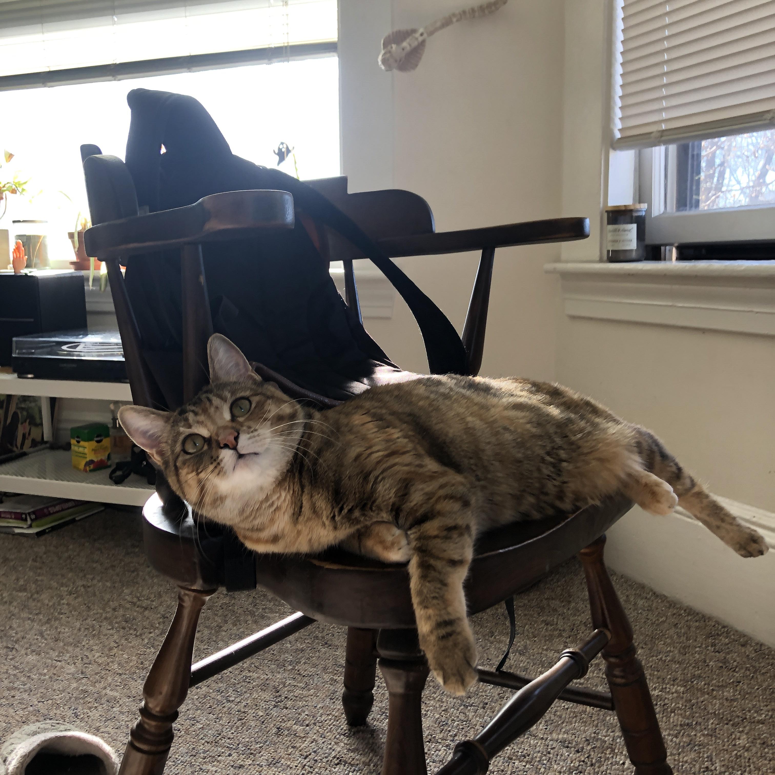 画家调蓝，奥亚尔萨瓦尔的单节画笔，如何将比利时绘入荷兰节奏的深海