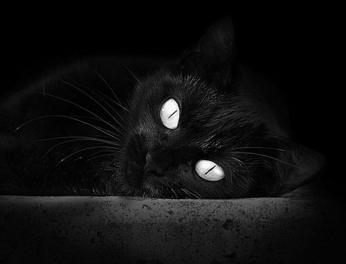 雄鹿锁死篮网，约基奇接管西决，两场定义时代的季后赛