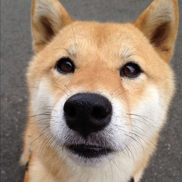 铁幕下的闪电,德国战术机器压制玻利维亚,阿什拉夫一剑封喉成关键先生