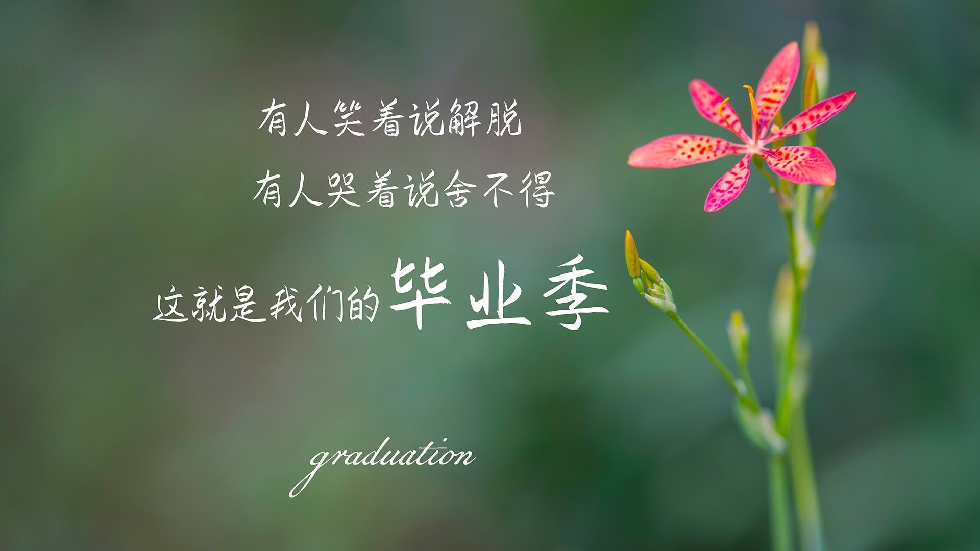 永恒里程碑与瞬间绝杀，一场比赛如何成为传奇的双生图腾