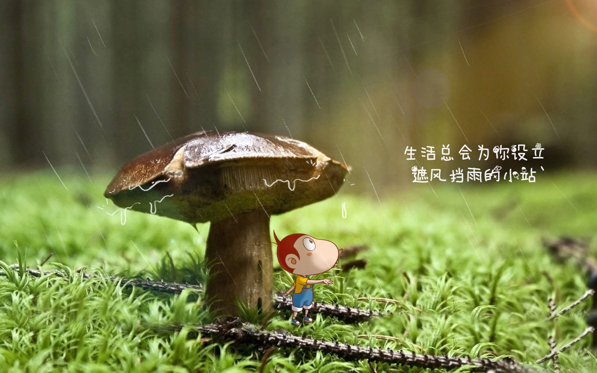 绝境中的不屈灵魂,2026世界杯G组,乌兹别克斯坦险胜波兰,C罗以一己之力撼动命运