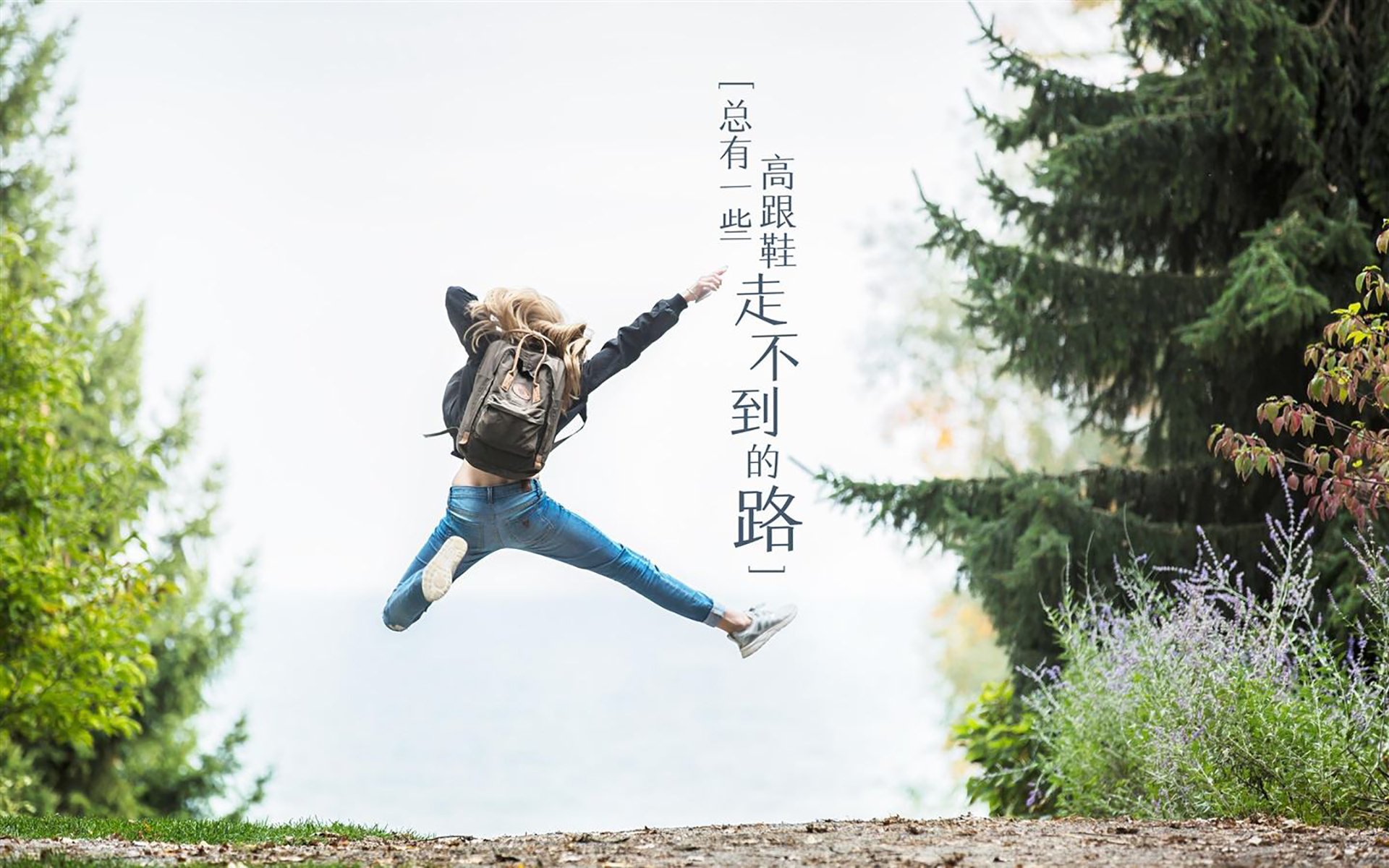 逆转之夜,萨内独舞点燃2026世界杯C组,奥地利绝地反击击碎罗马尼亚铁壁
