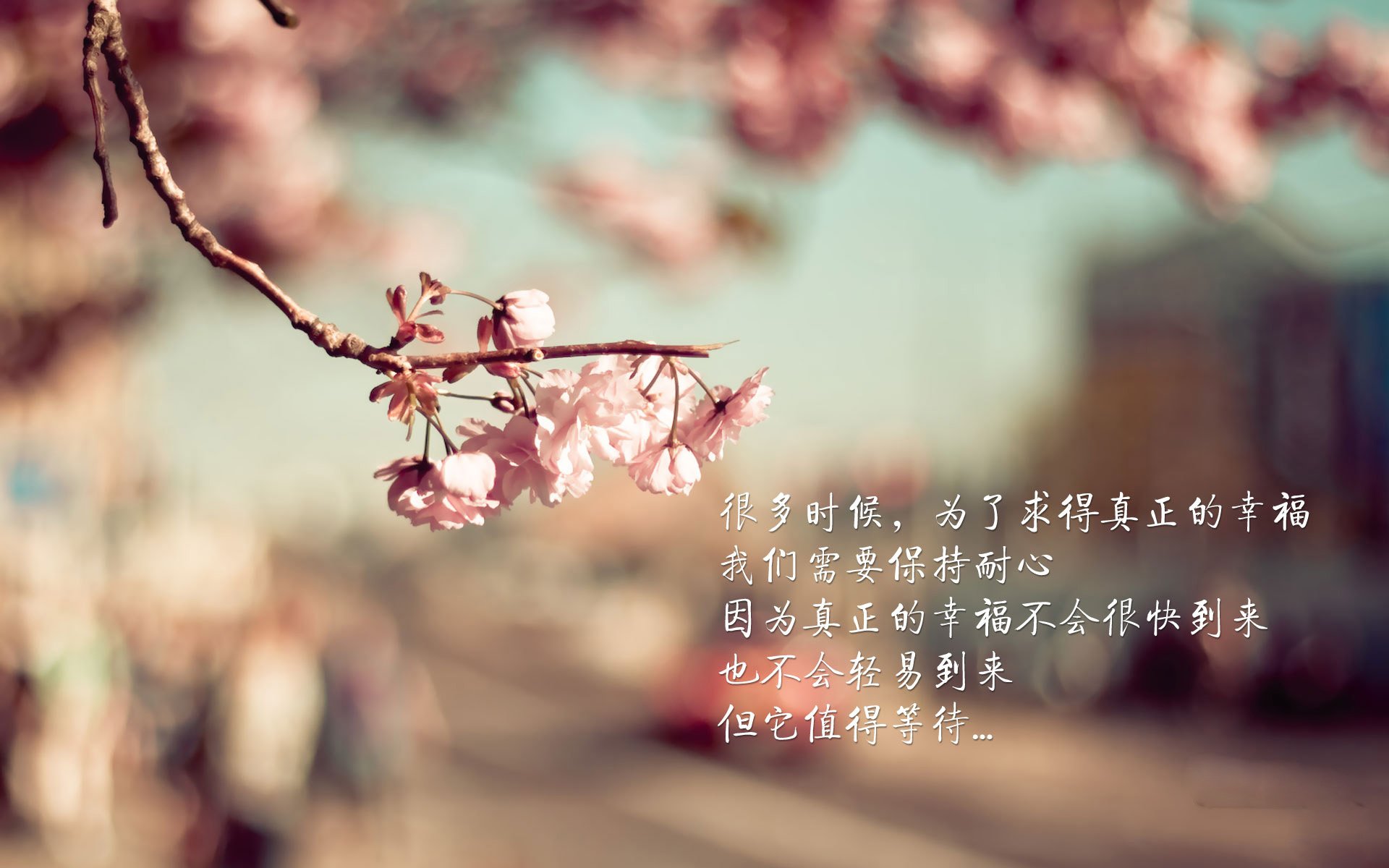 唯一的复仇,2026世界杯,佩德里的无声指令与印度足球的红色风暴