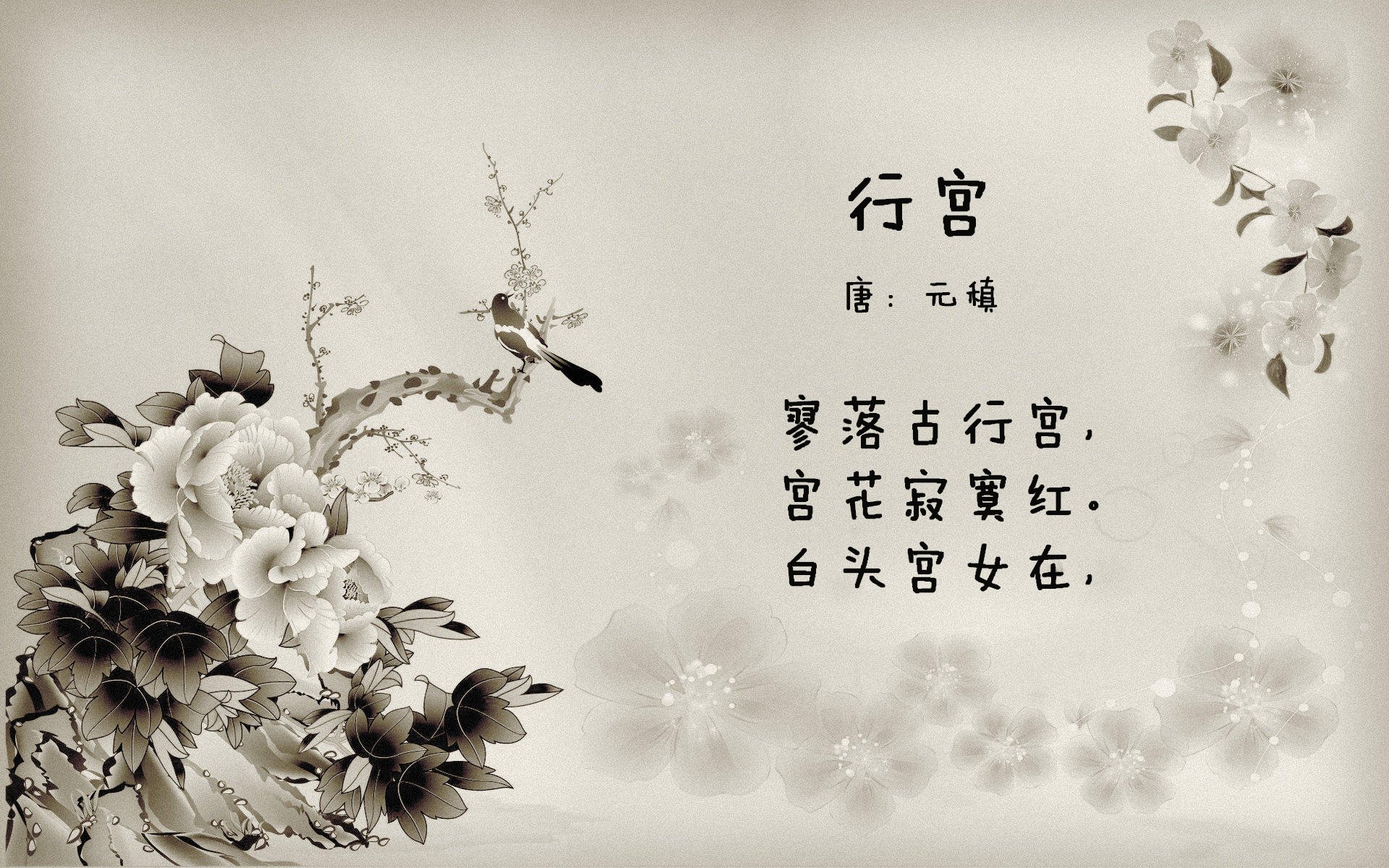 橙衣军团的风暴眼,2026世界杯C组,当萨内撕裂北欧防线将荷兰队的标志性橙色与萨内的个人冲击力结合,并点出击败瑞典这一具体战果,形成画面感与悬念。