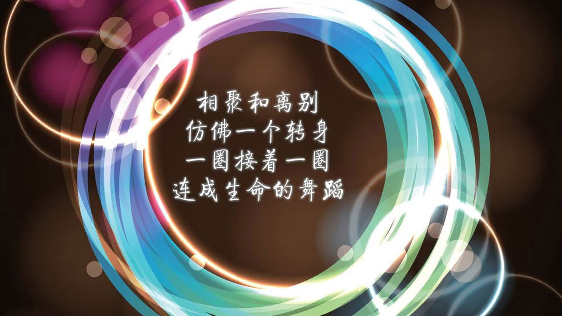 孤勇者的棋局,当托纳利的齿轮咬合命运,罗马尼亚在2026世界杯揭幕战中用战术纯粹性击碎伊拉克的钢铁洪流